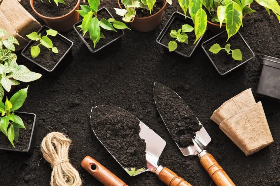 25 Gardening Bible Verses for Spiritual Growth