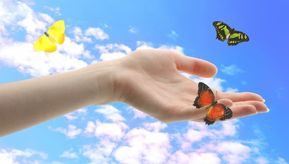 35 Bible Verses About Butterflies 35 Bible Verses About Butterflies