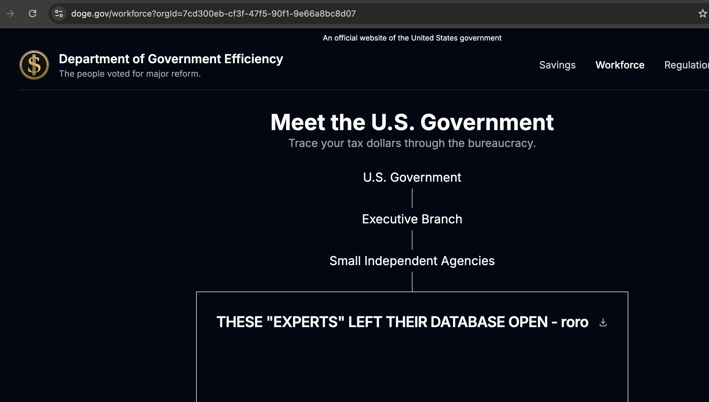 Security Flaw: DOGE Is So Transparent Anyone Can Edit Its Website