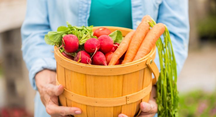 Why the Spring Season is the Best for Weight Loss