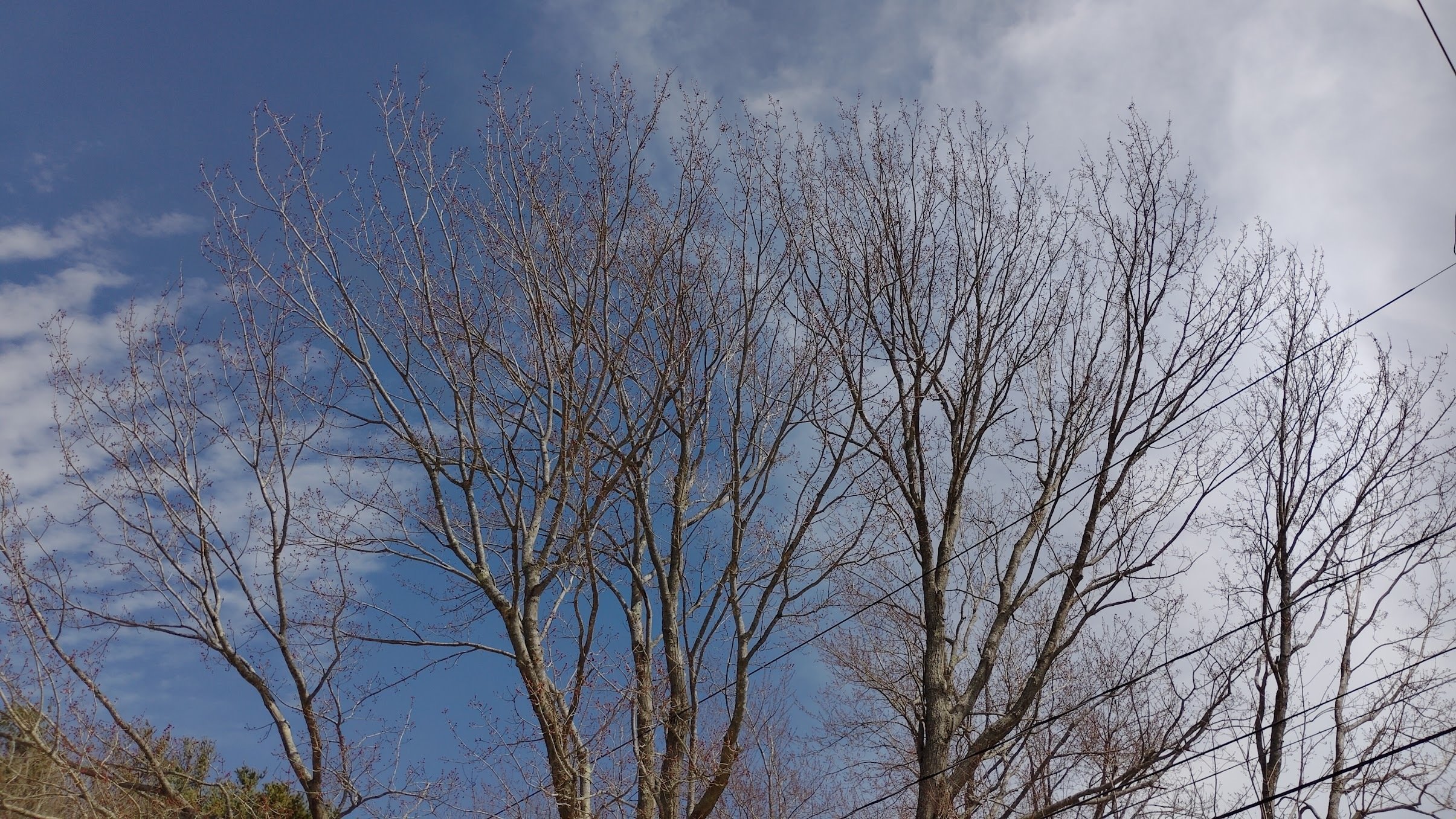 T-Mobile Revvl 7 Pro 5G Review T-Mobile Revvl 7 Pro 5G Review