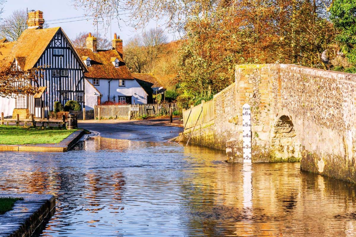 What You Need To Know