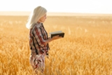 25 Fall Bible Verses About Harvest