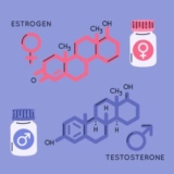 Estrogen Dominance Diet (Symptoms, Tests, food list and Diet Plan to Lower Estrogen Levels Naturally)