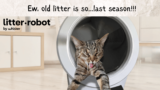 Litter-Robot 4: What To Know Before You Buy