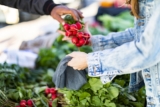 Seasonal Eating: Eat Fresh, Save Money & Boost Health